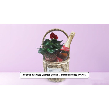 Rustic Basket with Seasonal Flowers & Muscat Champagne